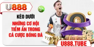 Kèo Dưới – Những Cơ Hội Tiềm Ẩn Trong Cá Cược Bóng Đá