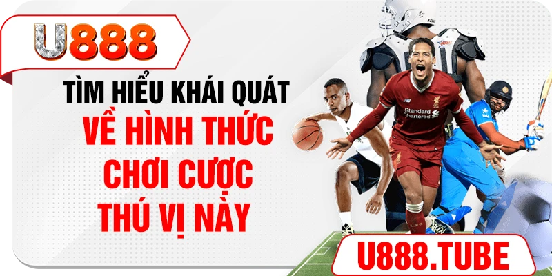 Tìm hiểu khái quát về hình thức chơi cược thú vị này